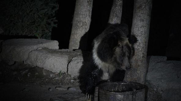 Divoká Čína s Rayem Mearsem (1)