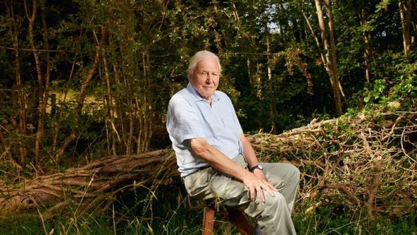 David Attenborough: Můj život