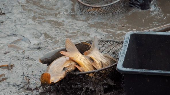 Co naše babičky uměly a na co my jsme zapomněli