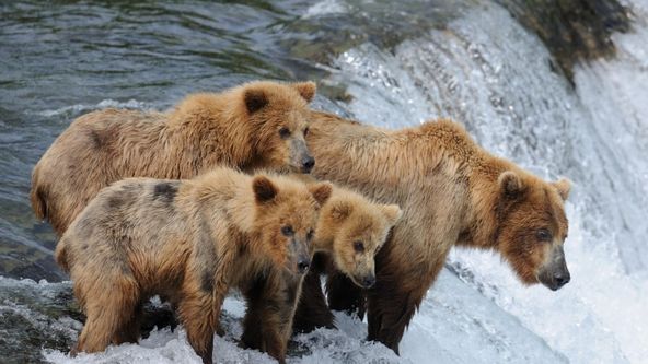 Instinkty zabijáka (2)