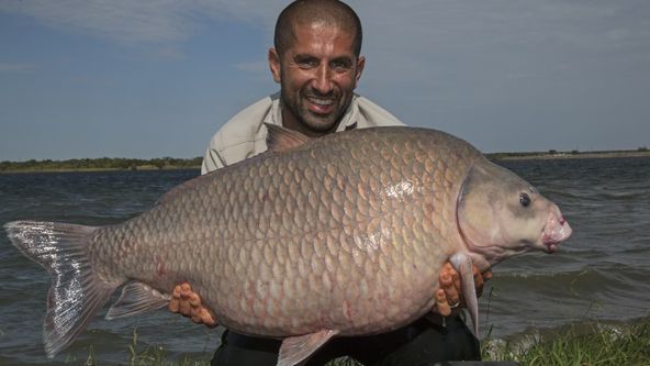 Kapří monstra VII (4)