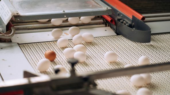 Boží dar - příběhy českých potravin (4/6)