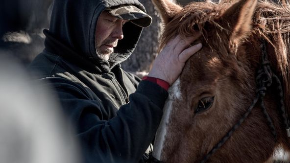 Pokořit divočinu (3)