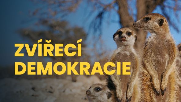 Zvířecí demokracie (1/2)