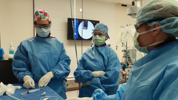 Život na Veterinární univerzitě (4)