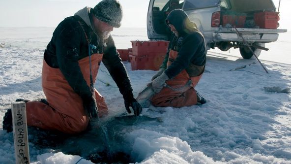 Ledoví vikingové III (6)