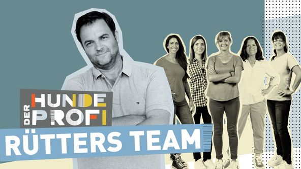 Der Hundeprofi - Rütters Team