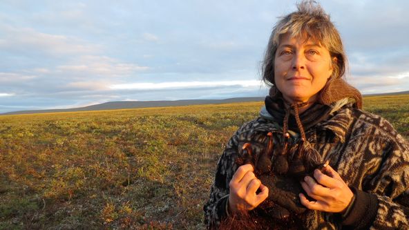 Život v sevření mrazu XI (7/11)