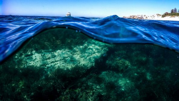 Pod hladinou moře (3)