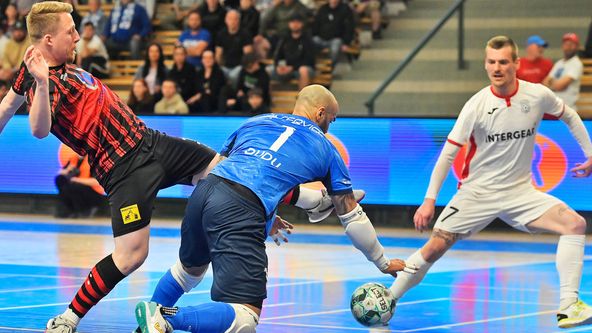 1. Futsal liga 2024/2025, Futsal