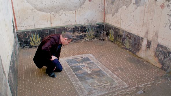 Vzestup Pompejí (2)