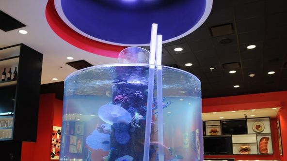 Akvária na míru VII (15)