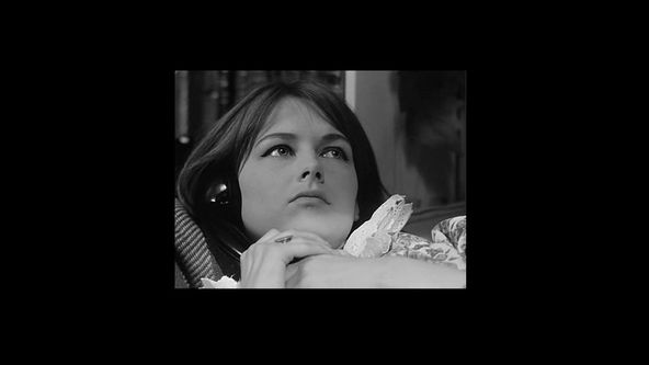 Nikdo se nebude smát