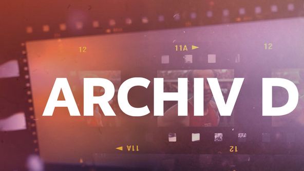 Archiv D: Josef Holeček