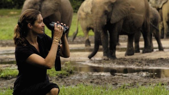 Saba a tajemství nosorožce