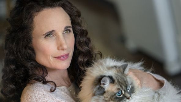 Láske nerozkážeš