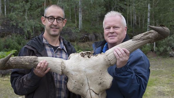 Mamuti: Obři doby ledové