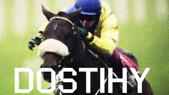 Dostihy 2024, Dostihy