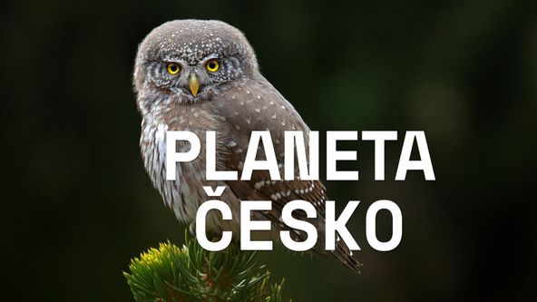 Planeta Česko