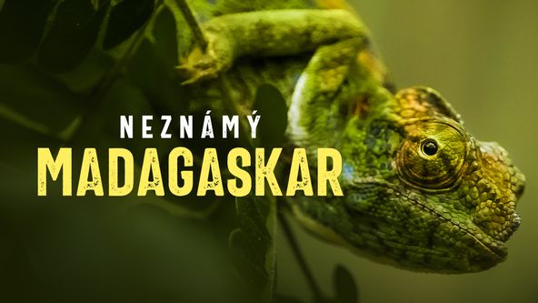 Neznámý Madagaskar (2/2)