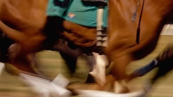 Dostihy 2024, Dostihy