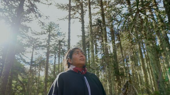 Nezkrocená Patagonie (6)