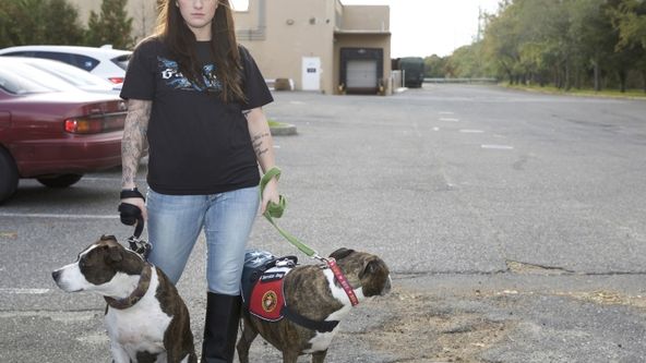 Dobrovolní zachránci (5)