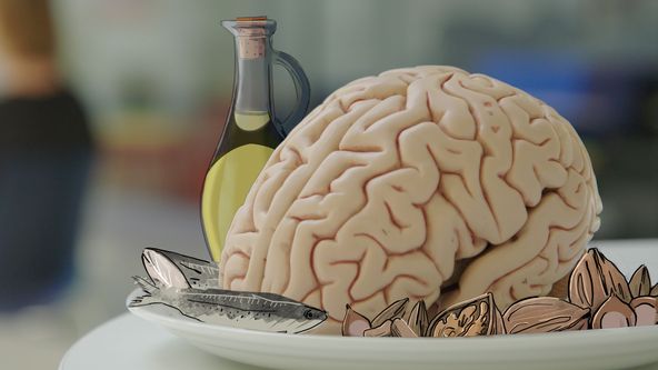 Zdravé jídlo - zdravý mozek