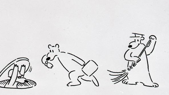 Zpráva o medvědech