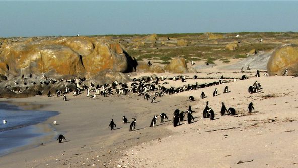 Smrtící africká říše (5)