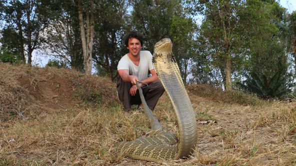 Veterináři pro neobvyklá domácí zvířata (2)