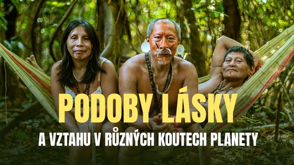 Podoby lásky a vztahu v různých koutech planety, Dokumentární klub