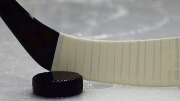 Utkání hvězd 2. ligy 2025, Hokej