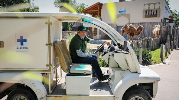 Zakázané zóny (1)