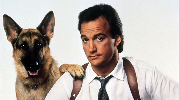 K-9: Můj přítel se studeným čumákem