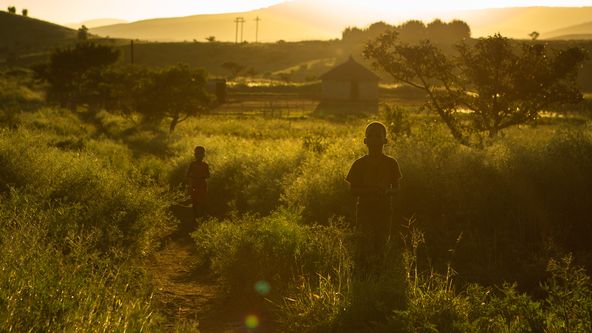 Divoká Jižní Afrika (3)