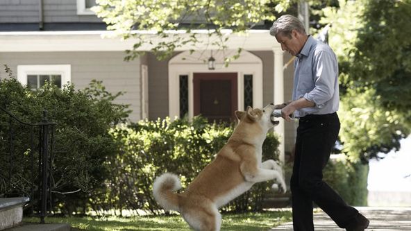 Hačikó - příběh psa