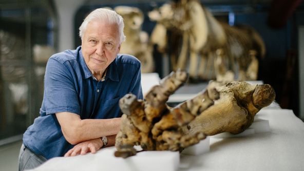 David Attenborough a legendární obří slon Jumbo
