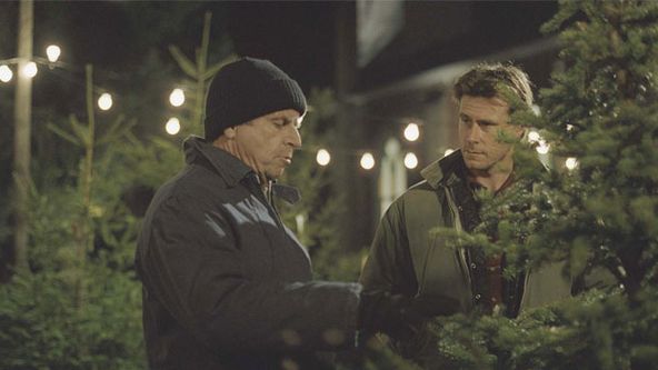 Vánoční návštěvník