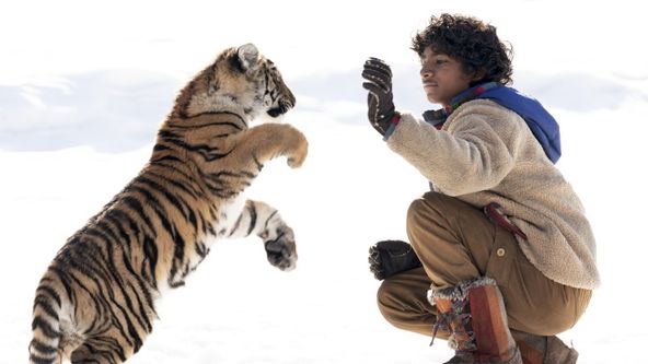 Zachráňte tigra