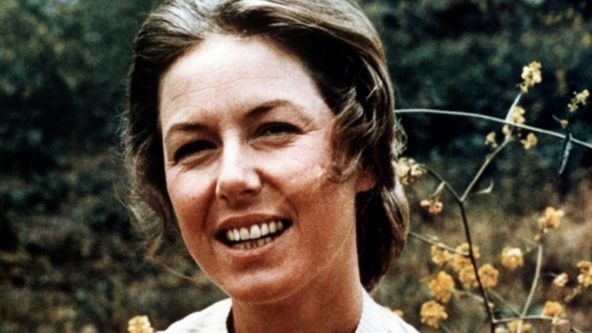 Domek na prérii II (18)