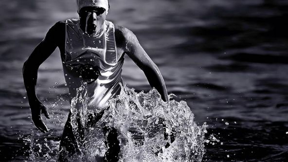 World Triathlon Championships Series