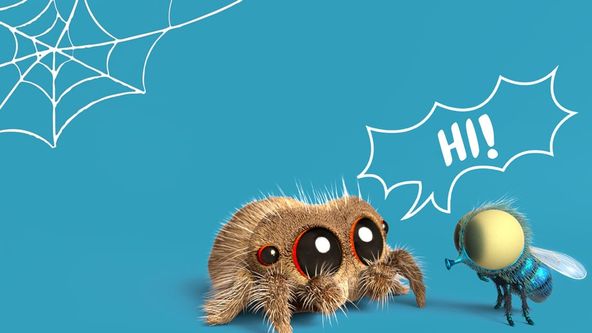 Lucas the Spider (20)