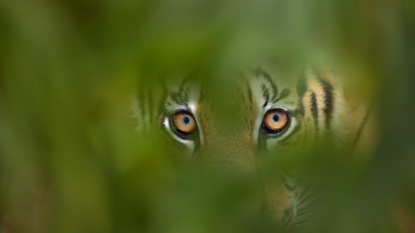 Instinkty zabijáka (5)