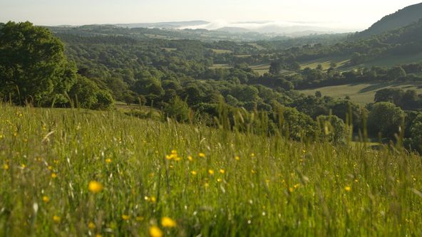 Wales - divoká příroda západu Velké Británie