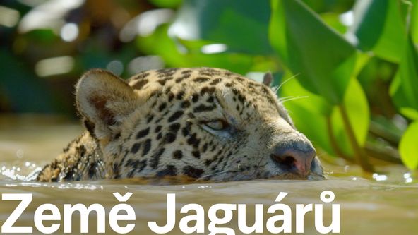 Země Jaguárů