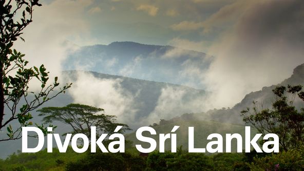Divoká Srí Lanka (1)