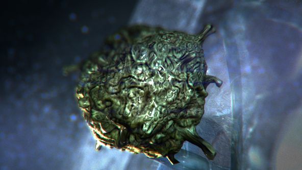 Nestvůry ve mně VI (3/4)