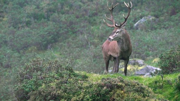 Odhalené Pyreneje (3)