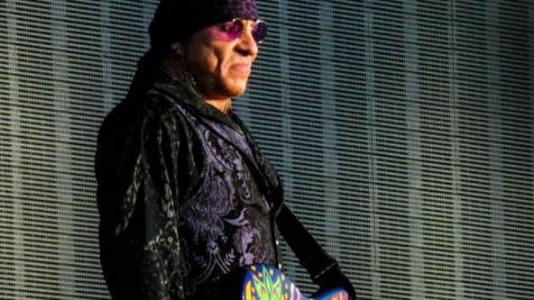 Stevie Van Zandt: Disciple